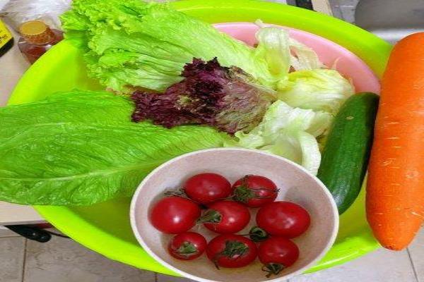 蔬菜沙拉一般用什么蔬菜（蔬菜沙拉秒变大厨）.