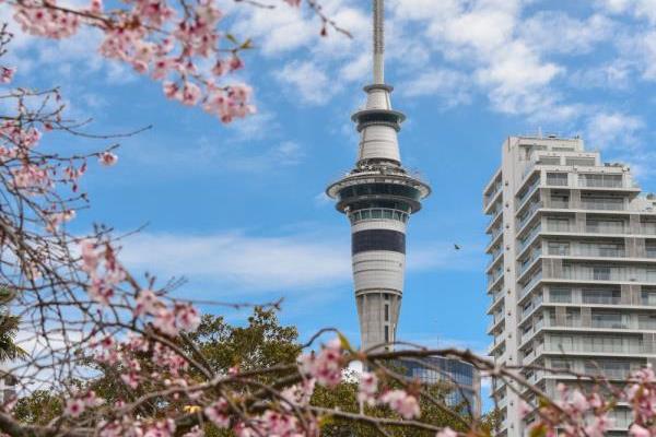 新西兰奥克兰游艇会筒介（想探索新西兰奥克兰游艇会的魅力吗）.