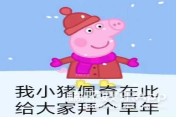 猪猪包是什么品牌的（猪猪）.