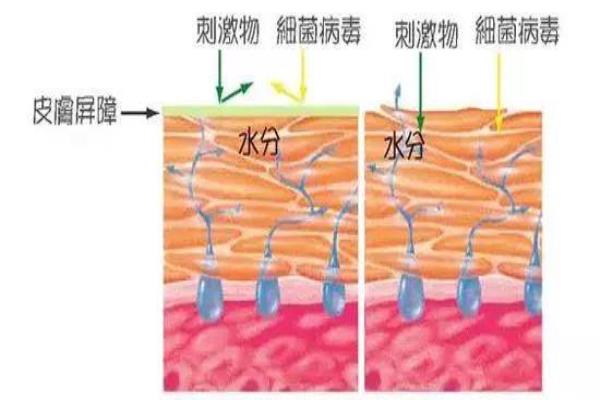 护肤的十大误区（这7个护肤常识足以毁掉你的脸）.