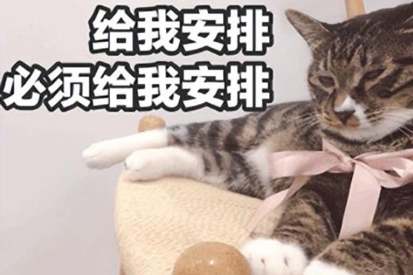 三油三水护肤真的有效吗（秋冬以油养肤yyds）.