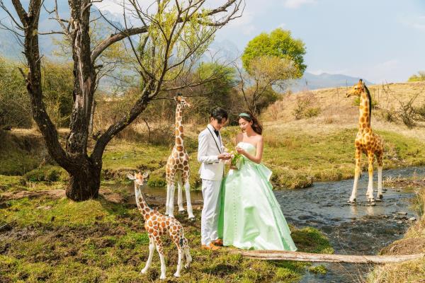 云南拍婚纱照的景点（云南美景，婚纱照的绝佳选择）.