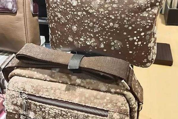 为什么包包会发霉（潮湿的环境、高温还是密闭的空间）.