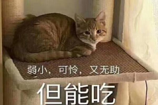 穿搭很好看的日剧.