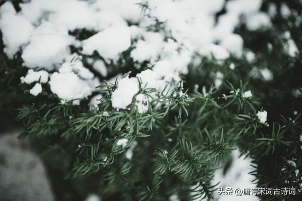 关于冬去春来的优美句子（春风吹来时）.