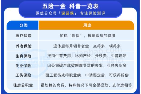 在家待业需要自己交什么社保（社保要怎么交）.