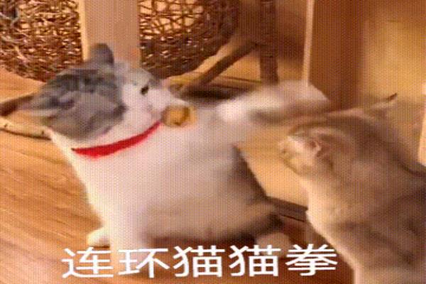 在捷克买手表便宜吗（买到这块惊喜好表）.
