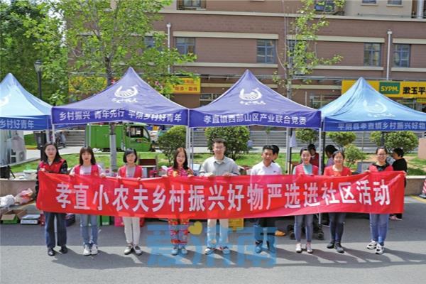 济南芦荟种植基地（济南特色产业发展走上“快车道”）.