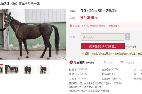 扬州赛马场游艇俱乐部（一匹汗血马叫价9万）.