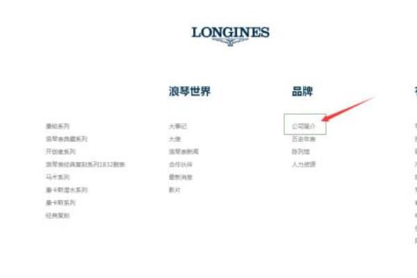 劳力士和浪琴是一个公司吗（浪琴是哪个国家的呢）.