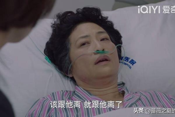 我的前半生罗子君最后做什么工作（《我的前半生》）.