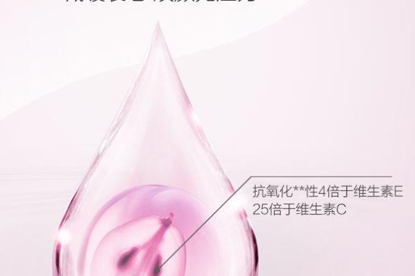 护肤品成分查询（探寻护肤品成分，为美丽保驾护航）.