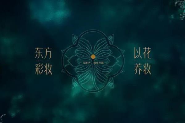 花西子营销活动策划方案（花西子）.