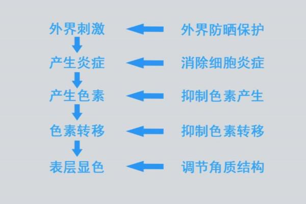 欧珀莱与欧莱雅哪个档次高点（巴黎欧莱雅、梦妆、欧珀莱三款乳液对比测评）.