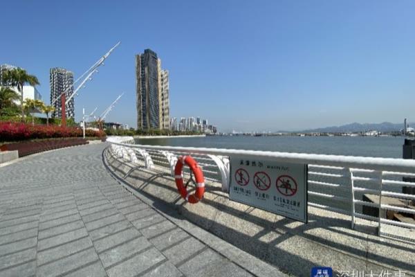 深圳湾游艇会接待游客吗