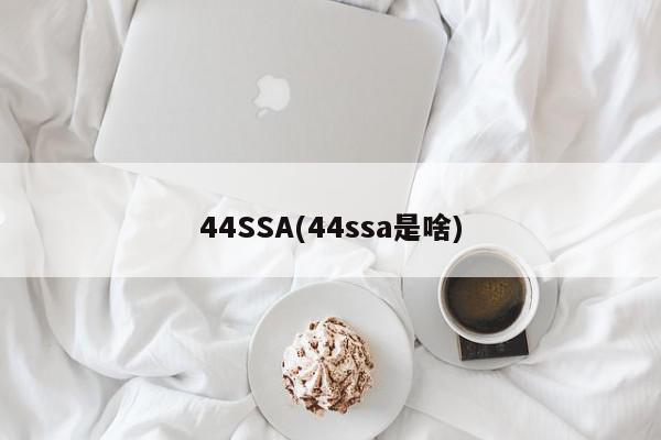44ssa是什么.