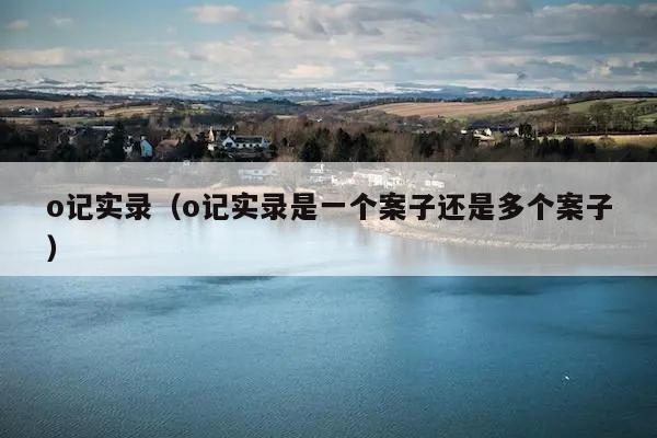 o记实录是一个案子还是多个案子.