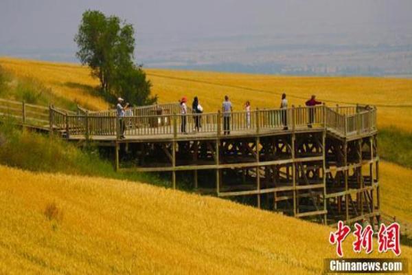 新疆的布拉克是什么意思.