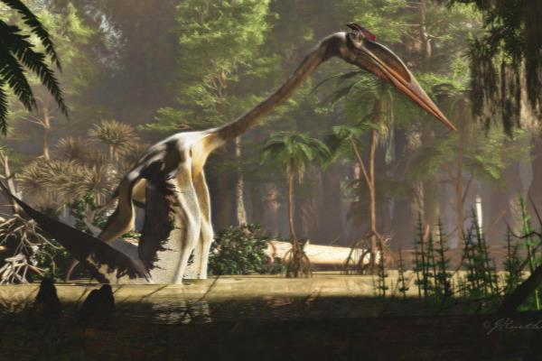 Quetzalcoatlus怎么读.