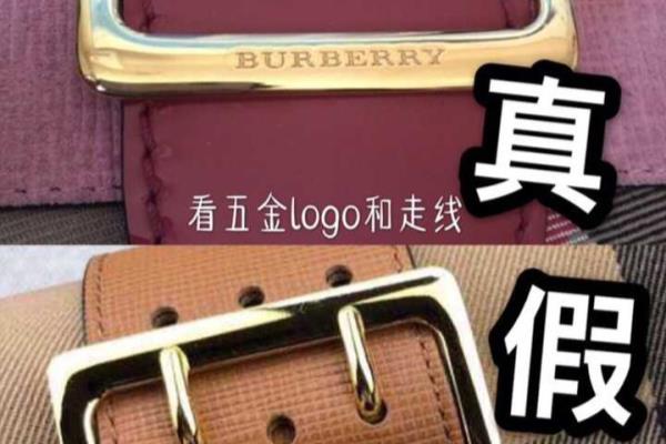 巴宝莉双肩背包摁扣掉了有配的吗.