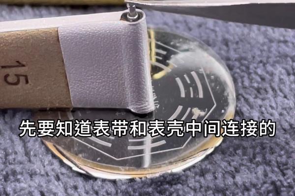 百达翡丽皮表带怎么拆卸视频.