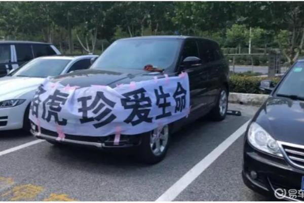 又一“伪豪车”原形毕露,忽悠国人十几年,这下往哪藏?.