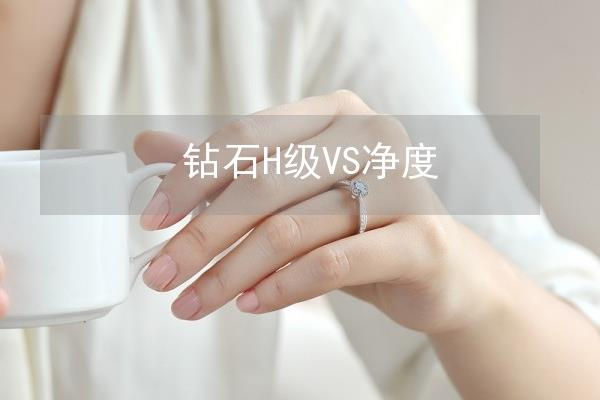 钻石净度表H是什么意思.