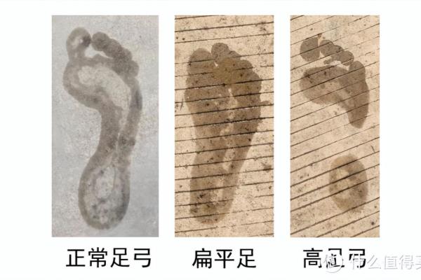 2023十大公认最强跑鞋.