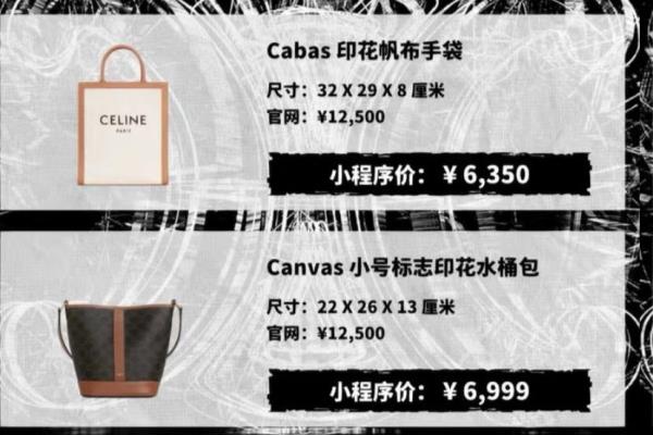 celine马鞍和凯旋门买哪个.