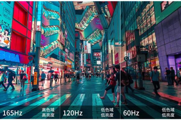 神舟战神TX9 3070怎么样.