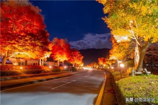 日本教育学留学最好的大学是哪些.