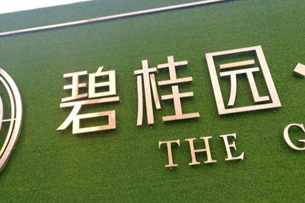 钻石人生剧情介绍大全.