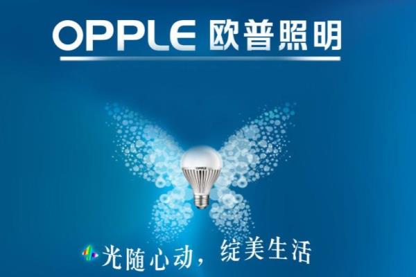 冠华照明是十大品牌吗.