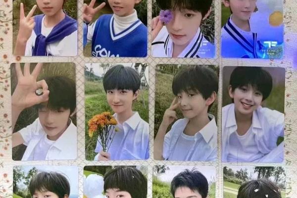 tf家族4代的全部成员资料.