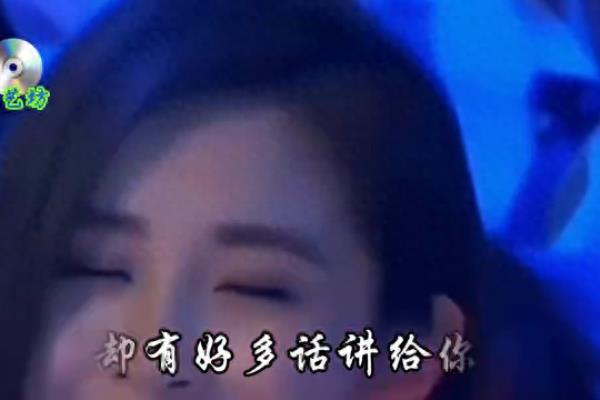 你入了我的心动了我的情歌词是什么歌.