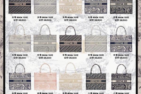 dior2023新款包包.