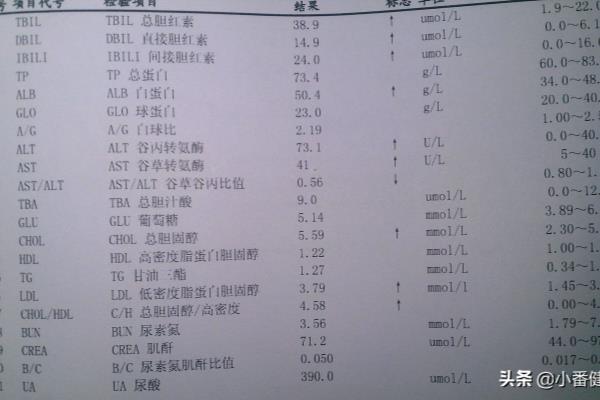 145阳性是小三阳还是大三阳.