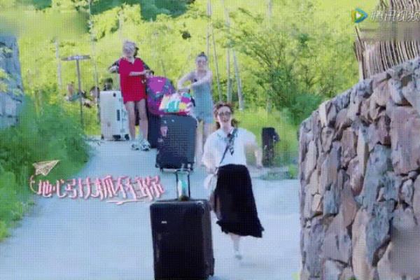 旅行包大容量行李包的拉链怎么换.