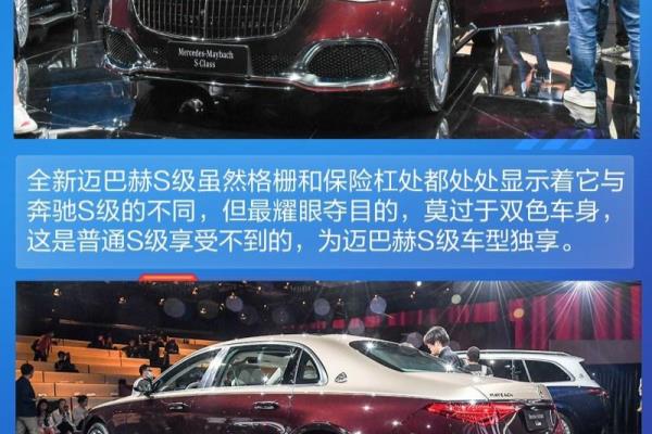 迈巴赫长什么样图片.
