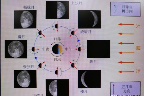 你出生那天的月亮月相图.