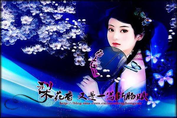 青青子衿悠悠我心诗经原文.