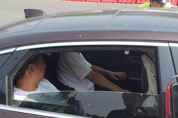 3019代码什么意思.