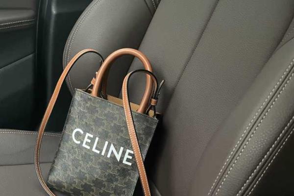 celine鲶鱼包2020还值得买吗.