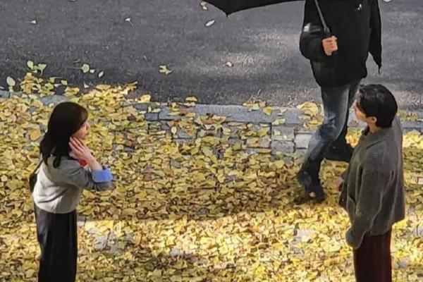 孔刘主动要求和金高银合作.