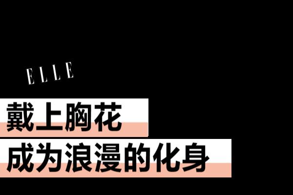 胸前有朵玫瑰花的衣服是什么牌子.