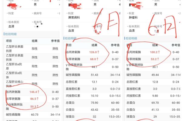 谷丙跟丙氨酸是一个意思吗.