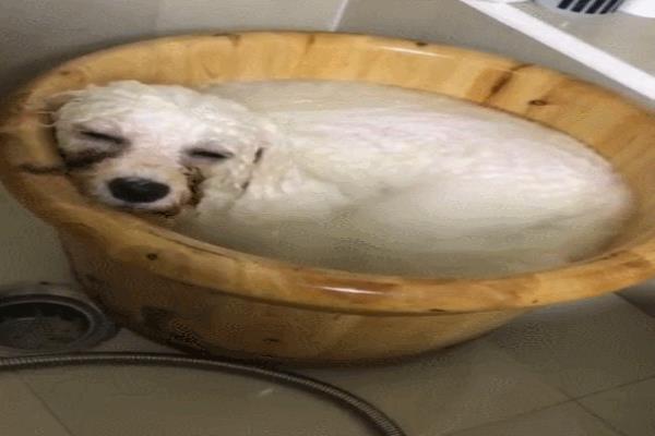 妮维雅630西班牙版本有区别嘛