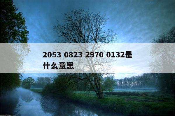 2053 0823 2970 0132是什么意思.