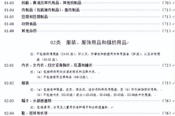 外观设计是什么意思.