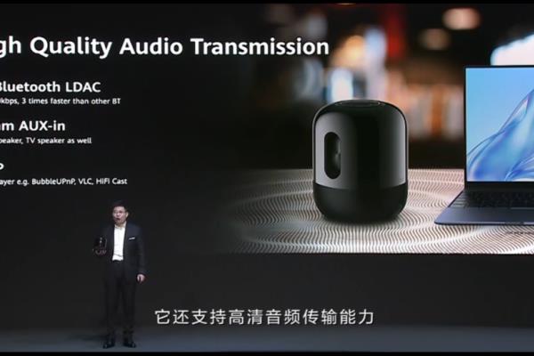 华为表带22mm保时捷可以用吗.